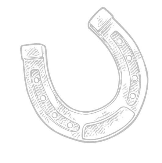 A decorative illustration of a horseshoe